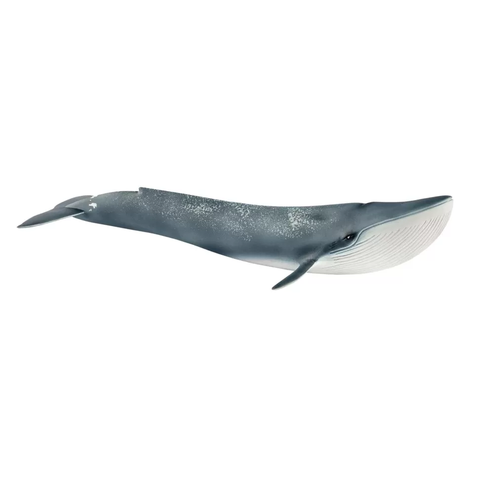 Schleich Figuras Y Minimundos^ Figura Ballena Azul