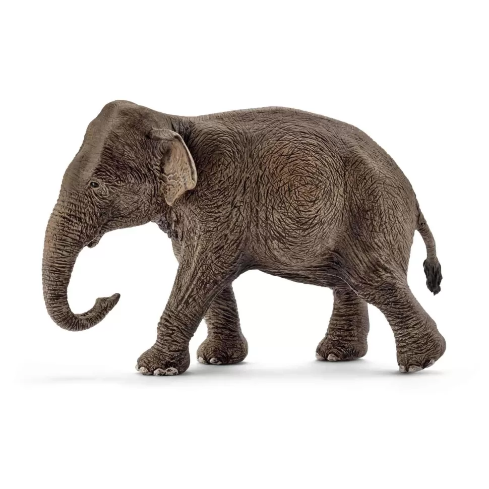 Schleich Figuras Y Minimundos^ Figura Elefante Asiatico Hembra