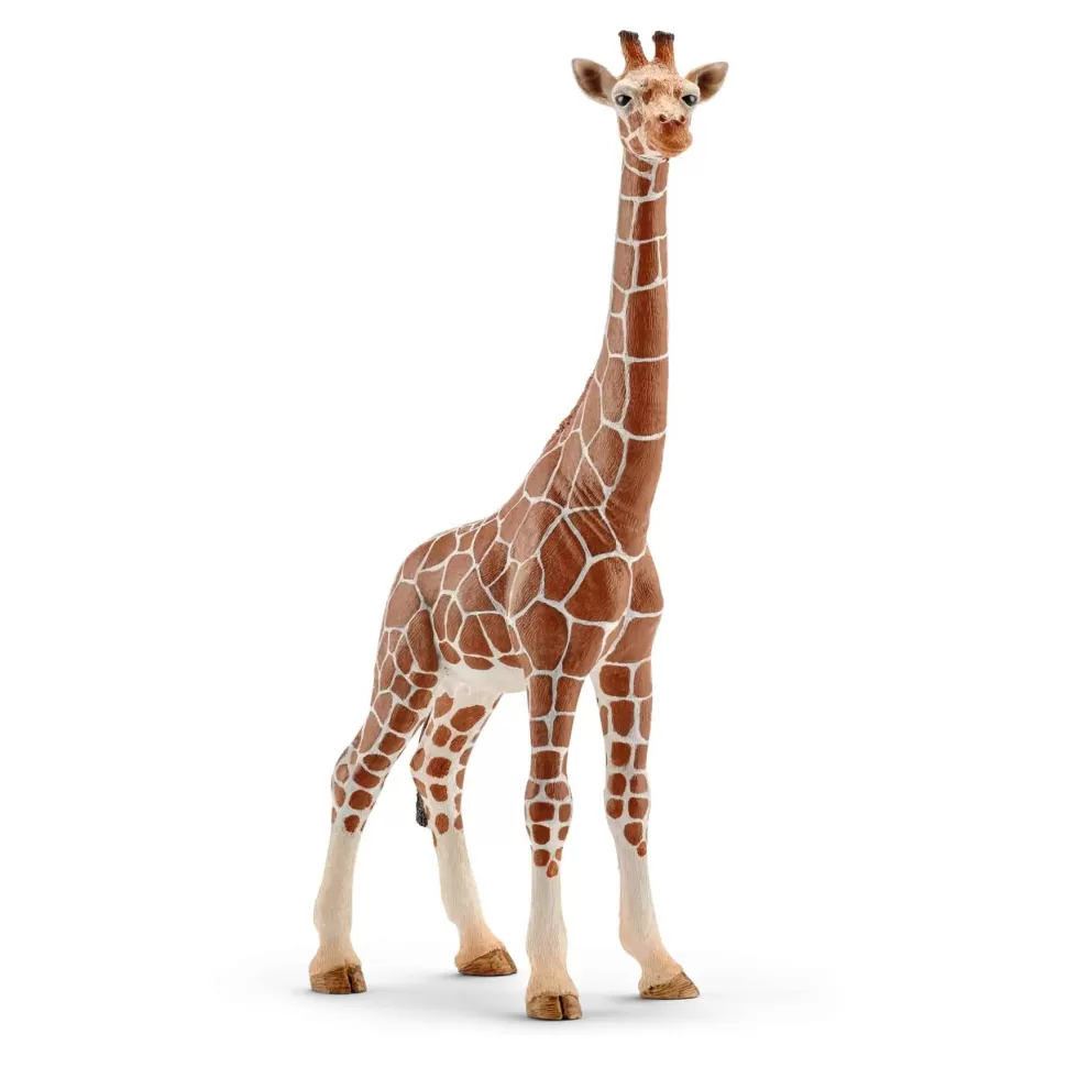 Schleich Figura Jirafa Hembra* Figuras Y Minimundos