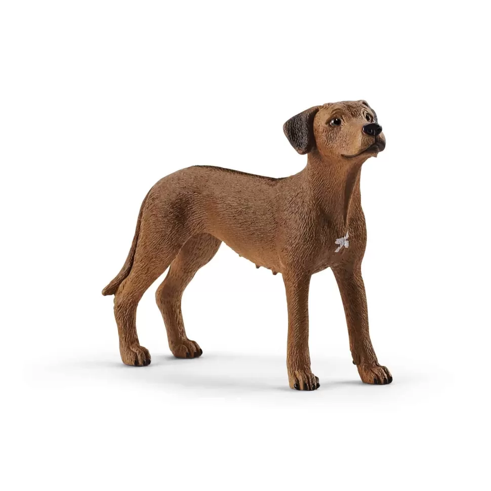 Schleich Figuras Y Minimundos^ Figura Perro Crestado Rodesiano