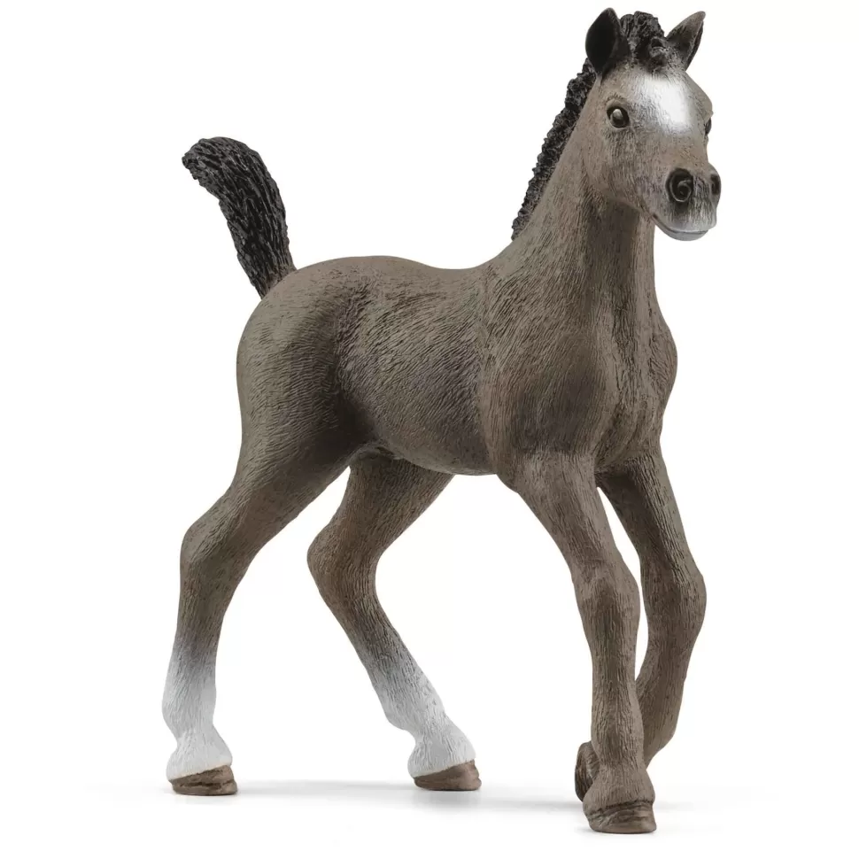 Schleich Figura Potro Cheval De Selle Francais* Figuras Y Minimundos