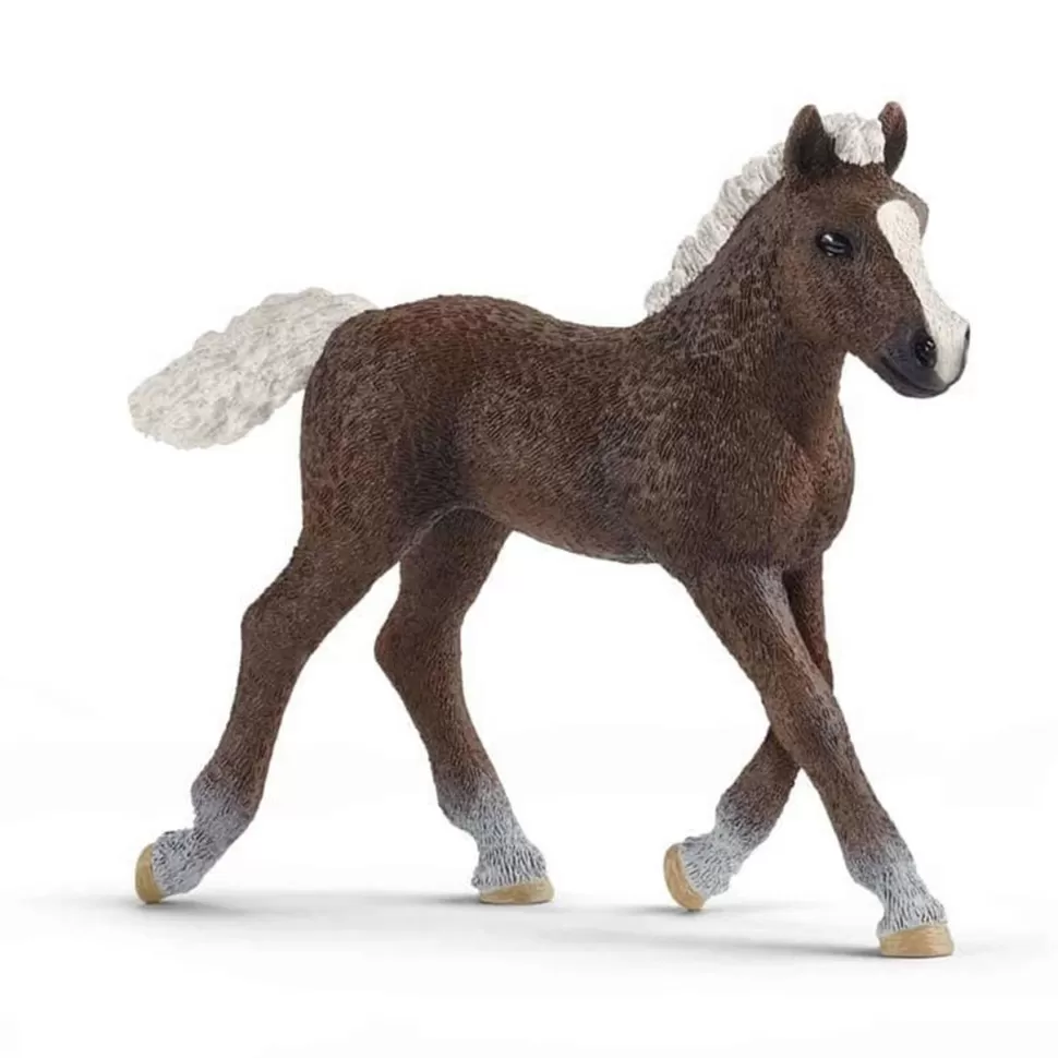 Schleich Figuras Y Minimundos^ Figura Potro De La Selva Negra