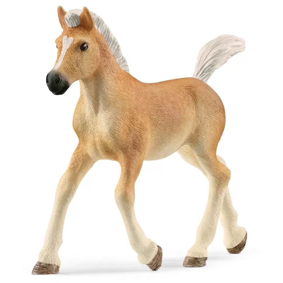 Schleich Figuras Y Minimundos^ Figura Potro Haflinger